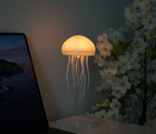 Jellyfish lamp 🪼