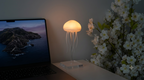 Jellyfish lamp 🪼
