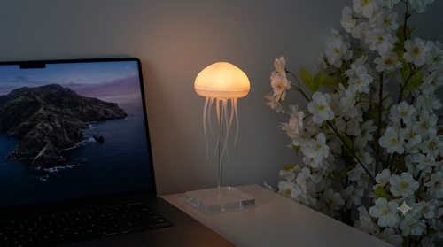 Jellyfish lamp 🪼
